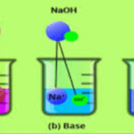 Amal Chhar Aur Lavan Class 10th Science Solutions